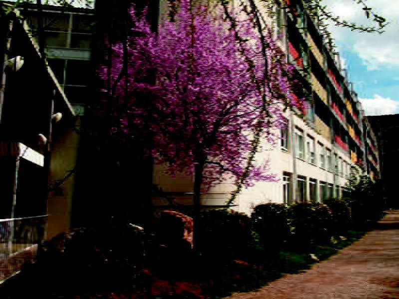 Hotel Balneario Sicilia Jaraba Exteriör bild